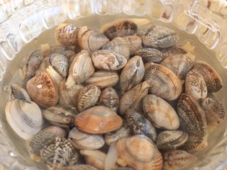 凉拌花蛤面,清水化少许海盐 养2个小时让花蛤吐出沙子