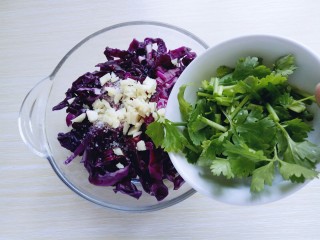 凉拌紫甘蓝,将切好的葱段和香菜段倒入。