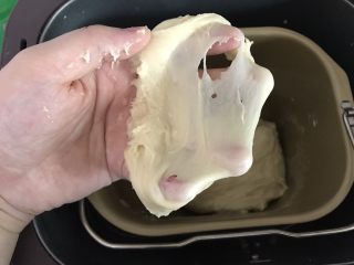 日式面包卷,一个揉面程序结束后是这样的粗膜状态