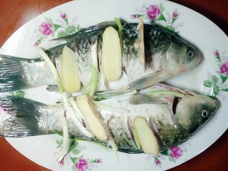 凉拌鲫鱼,把码好的鱼置于盘子里，姜片和葱白放一起，蒸锅水烧开。