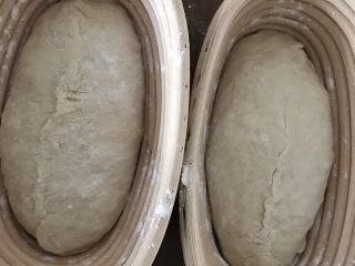 天然酵母面包~无油无糖,藤篮撒粉，把面团收口向上放进去。入32度左右的温暖湿润处进行最后发酵。