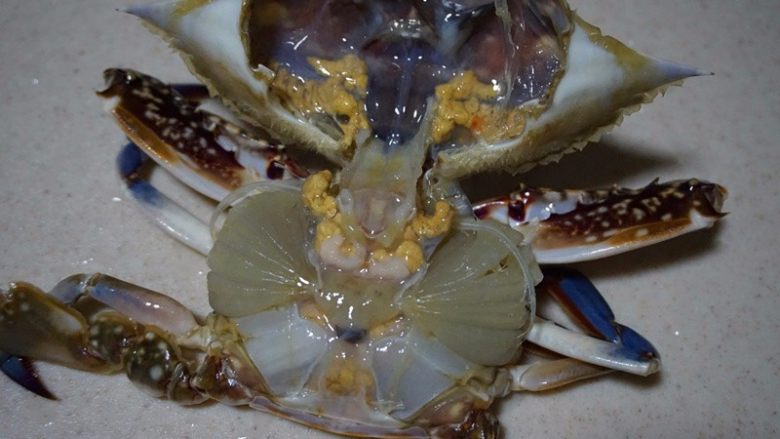 海蟹粥,4.洗刷干净之后的蟹去除五脏六腑，这步很重要哦
叨叨叨：吃蟹要四除:一除腮，在蟹体两侧，形如眉毛，呈条状排列;二除胃，位于蟹谷前半部，紧连蟹