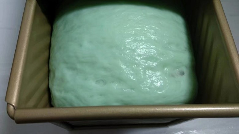 彩色吐司,盖上盖，放置温暖处发酵至9分满。