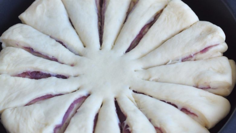 花朵紫薯面包,用剪刀，将面皮边缘剪开，均匀的剪成16等份，中间要留些距离。