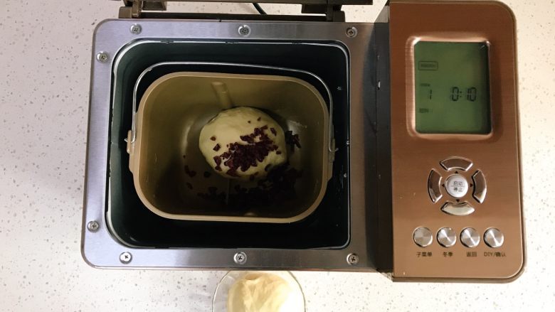 可可双色面包（面包机版）,将313克的面团放入面包机内，并加入准备好的蔓越莓，取消暂停，恢复和面程序。
