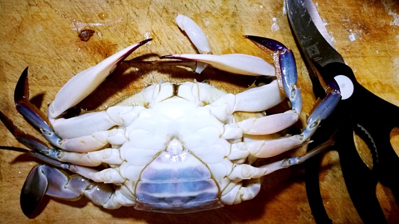 家庭简易版螃蟹海鲜粥,先清洁螃蟹，大剪刀准备好，取一只螃蟹背朝菜板。
