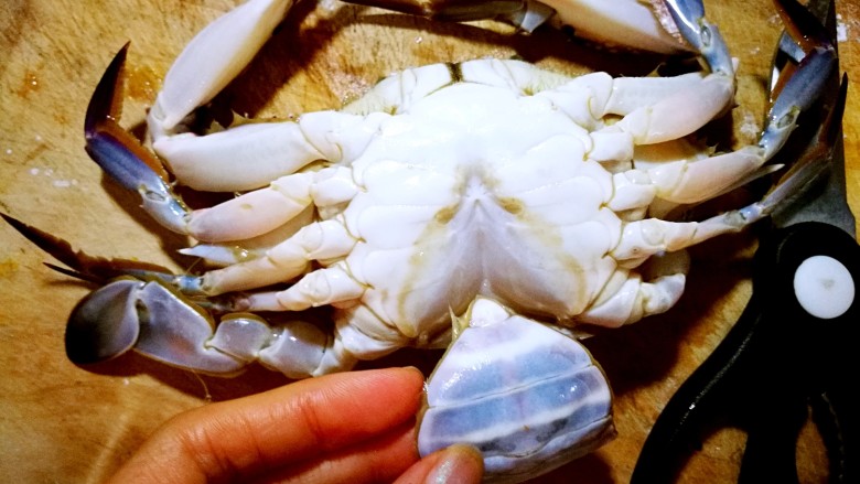 家庭简易版螃蟹海鲜粥,先把肚皮上的三角剪下来。