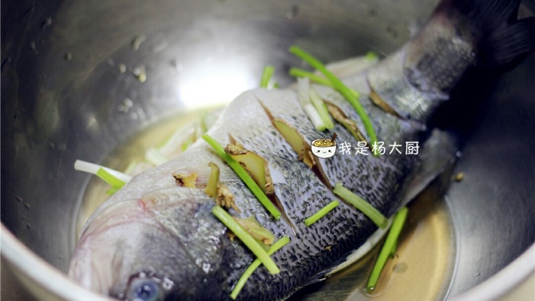 清蒸鲈鱼,鱼身也用葱姜料酒抹一下。整鱼腌制半小时