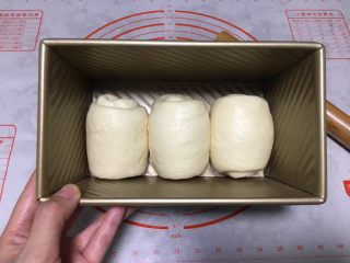 北海道吐司（70%冷藏中种）,三个面团均匀放在吐司盒