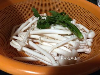 【青石居私房菜】之土匪鱼头,海鲜菇洗净、香菜一条