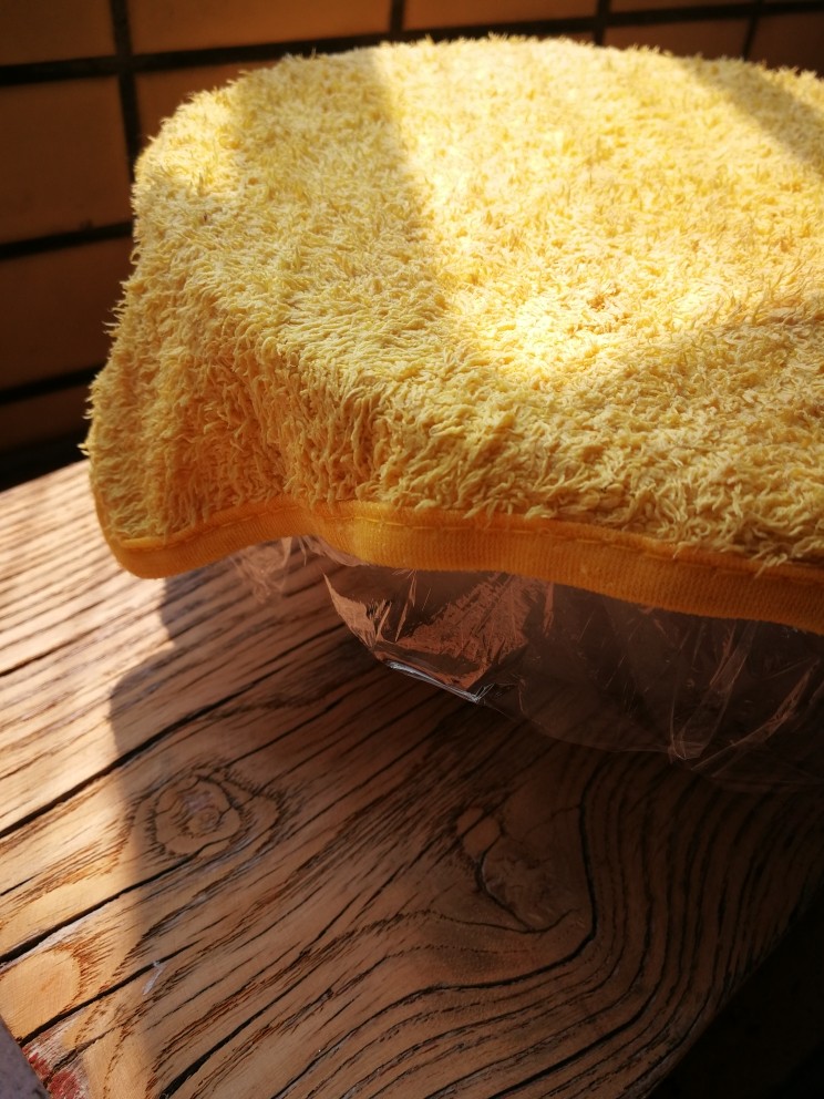 海绵酵头全麦吐司,盖上保鲜膜和干净的湿毛巾放在温暖的地方进行发酵