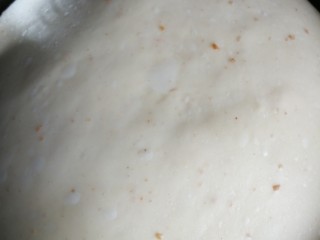 海绵酵头全麦吐司,发酵至两倍大大约45分钟左右，看发酵地方的气温哦