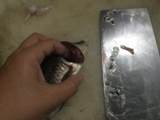 椒盐鲫鱼,第三步，把鱼鳃去除清理干净，这个不能吃的。