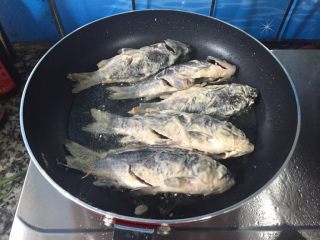 椒盐鲫鱼,等锅里的油温度较高时，把腌制好的鲫鱼放入平底锅里，中小火煎制成两年都是金黄色就可以了。