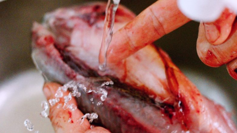 #吃豆腐#渔家豆腐鱼,去掉五脏后、把鱼放到自来水管下开始用清水冲洗、注意手指的地方是鱼的血液地方、必须去掉