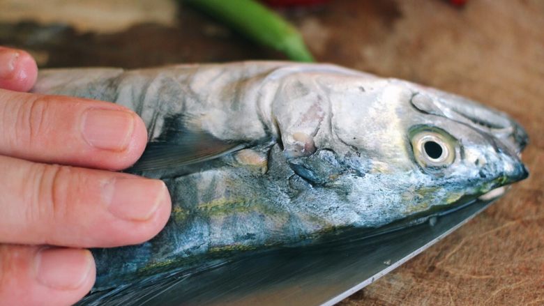 #吃豆腐#渔家豆腐鱼,鲅鱼要从鱼头开始用刀片、记住是在鲅鱼的背部片、不是从鱼肚子那里片哟