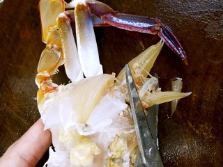 姜葱炒花蟹,剪去肺鳃，把蟹嘴附近的小毛刺也剪掉。