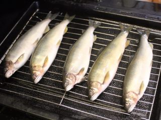 香鱼甘露煮,将香鱼洗净摆在烤盘。香鱼去不去鱼鳞和内脏都可以，因为都是可以食用的。