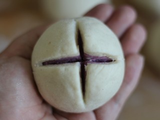 紫薯开花馒头,用锋利的小刀在面团表面划十字花。