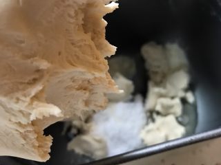 北海道中种吐司,取出冷藏后的中种面团，撕成小块放入面包机内。