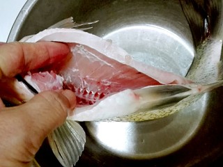 红红火火~清蒸鳊鱼,清洗干净，看看鱼肚里面黑一定要清理干净，黑膜有毒素