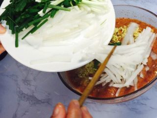 韩式辣白菜（辣酱调制）,加入切丝的白萝卜，切段的葱，可用韭菜替代！