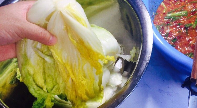 韩式辣白菜（辣酱调制）,白菜腌制出水分后，试试盐味，在挤干水分！