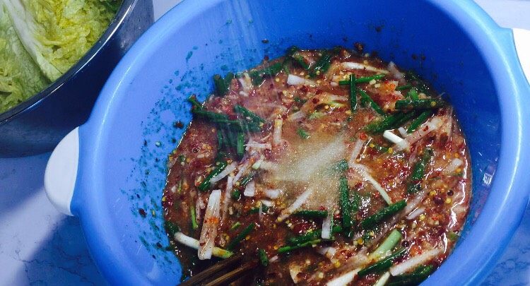 韩式辣白菜（辣酱调制）,一点点盐，还可以添加虾酱，本人对虾过敏，所以没有添加！腌料就做好啦！