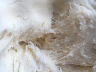 脆底芝麻奶包,经过15小时的发酵，面团有两倍大，拉开有蜂窝组织，闻着有酒味