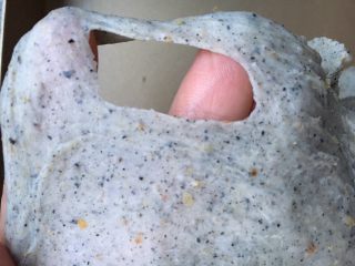 蜜豆胚芽芝麻面包,加了芝麻粉和胚芽后，不容易出膜，拉开破洞边缘光滑即可