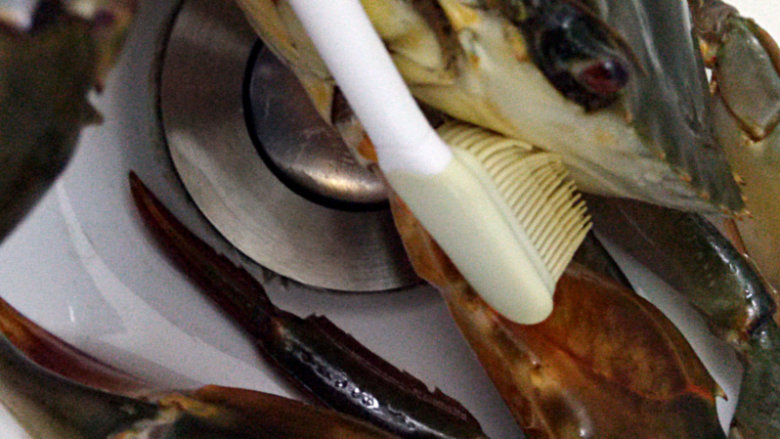 清蒸海蟹,用刷子将螃蟹的全身刷洗干净，特别是肚脐、钳子内部等地方