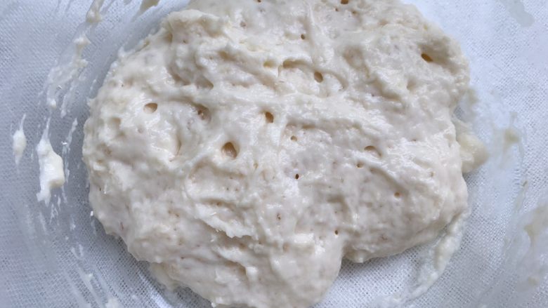 芝士培根面包（波兰种）,室温发酵至蜂窝状