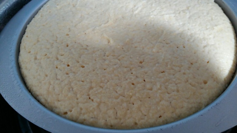 玉米面发糕,发酵好的玉米面糊已经满模了。上面刷一层菜籽油。（刷油的目的是防止蒸的时候锅盖上的水滴进去发糕内部，而影响口感。）