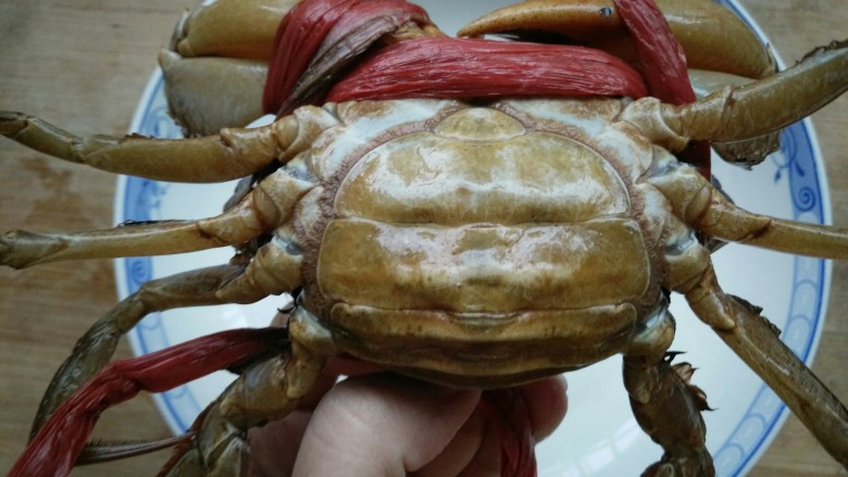 早餐螃蟹海鲜粥,这是一只怀孕的螃蟹，我们叫它赤蟹
