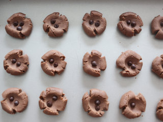 可可玛格丽特饼干,加入一些巧克力豆进行装饰。