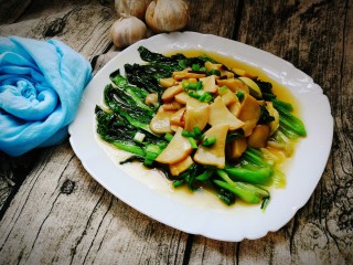 #绿色美食#翡翠白玉,绿色的青菜配上白色的杏鲍菇，可不就是一碗翡翠白玉吗？清新美味，赶紧试试吧！