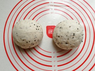黑芝麻红薯全麦面包（波兰种）,把发好的面团取出，挤压排气后分成均匀的两份滚圆，盖保鲜膜醒发15分钟；
