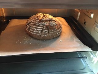 蔓越莓黑麦藤篮法式欧包,烤箱200度预热5分钟，放入面包烘烤25分钟，再调低温度烤至上色成熟即可。