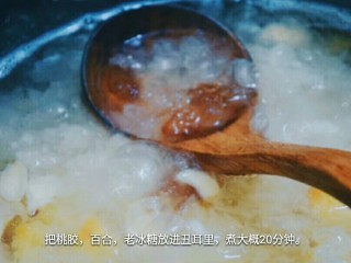 滋润养颜丑耳糖水,等桃胶是液体的状态再放入其他配料文火煮二十分钟。