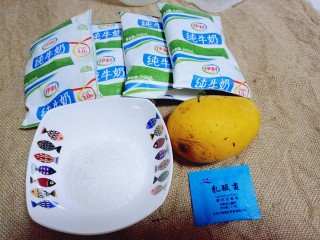 #冬喝暖饮夏吃冰#健康低卡-芒果酸奶昔,准备食材: