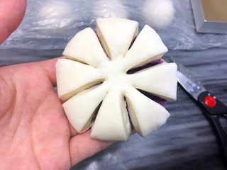 紫薯香芋花朵包,再剪四下剪出花形