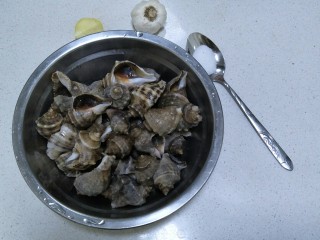 水煮海螺,准备食材:海螺，盐，蒜，姜一小块。