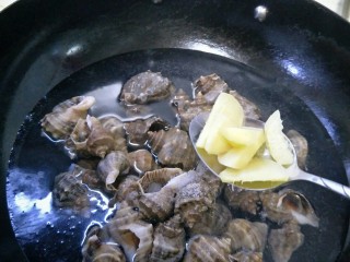 水煮海螺,加入切好的姜。