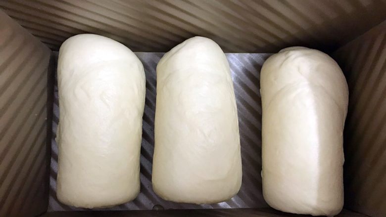 十足的软妹子——中种酸奶吐司,依次做好放入吐司盒里盖上盖子
