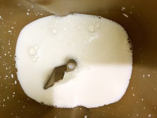 十足的软妹子——中种酸奶吐司,先来做中种面团：面包桶里放入牛奶