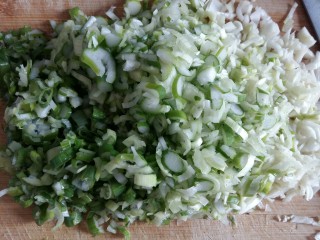 冰花煎饺,大葱的切法和白菜一样，先切丝后切丁。包饺子菜都要切的碎一些。