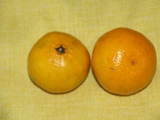 橘子果冻,准备两个橘子