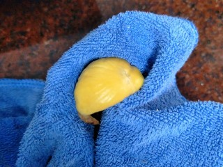 家有烤箱＃栗子香蕉磅蛋糕＃,用干净毛巾轻搓一下就可以轻松去皮