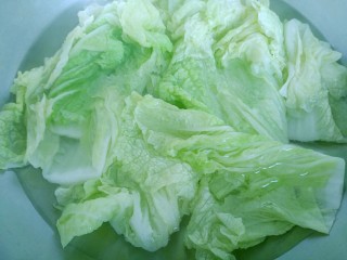 翡翠菜卷,放入白菜梢烫软后捞出，晾凉备用。