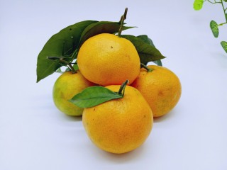 糖水桔子,今天买的橘子特别新鲜。
